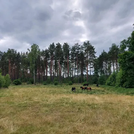 Hébergement de vacances Clonowo *