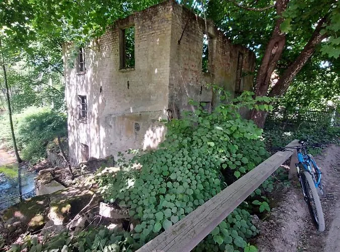 Semesterbostad Clonowo Borsk